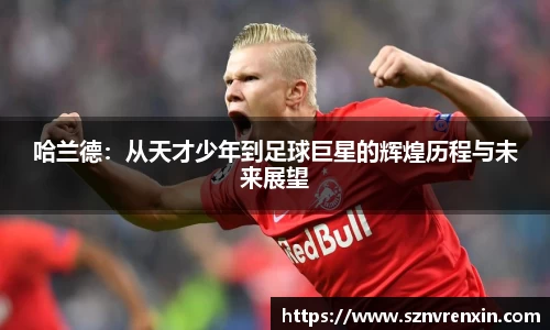 zoty中欧官方网站