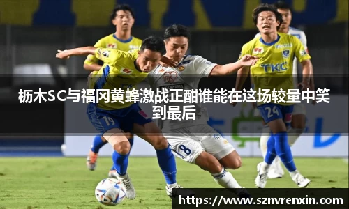 枥木SC与福冈黄蜂激战正酣谁能在这场较量中笑到最后