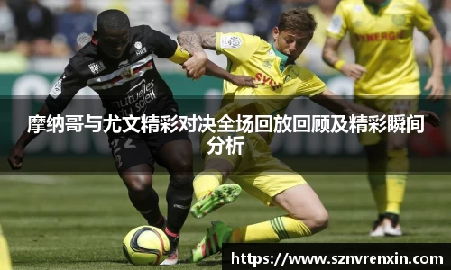 zoty中欧官方网站